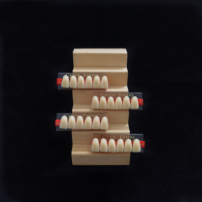 High Strength Dental Artificial Acrylic Resin Composite Teeth Long Lasting Stain Resistance