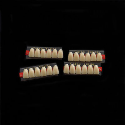 High Strength Dental Artificial Acrylic Resin Composite Teeth Long Lasting Stain Resistance